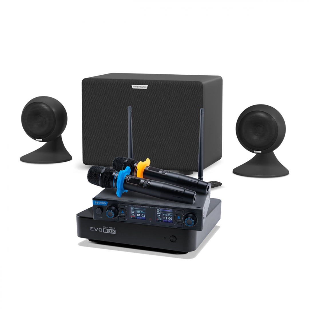 караоке-комплект EVOBOX + EvoSound Sphere 2.1 в Новочеркасске