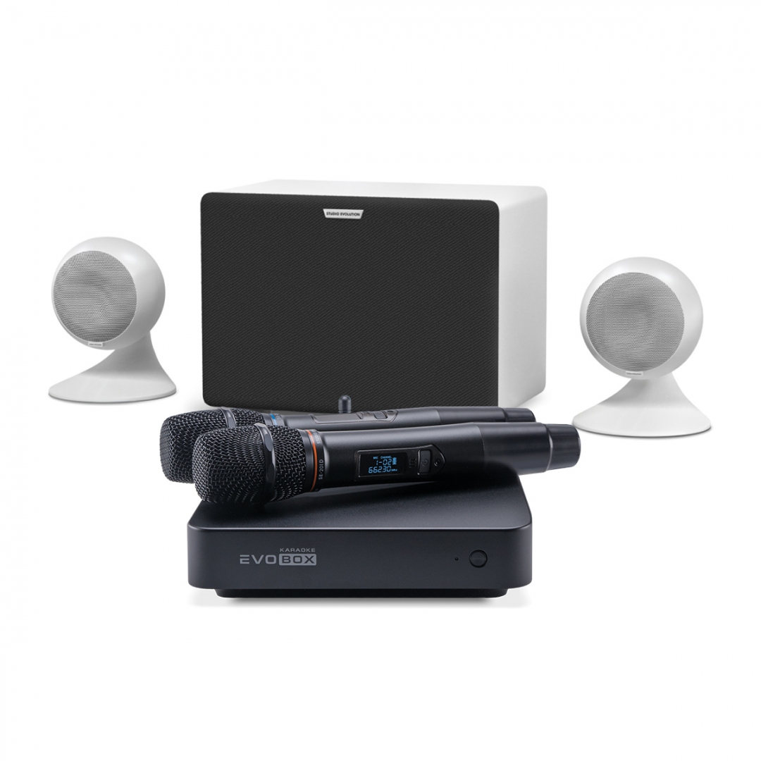 караоке-комплект EVOBOX Classic + EvoSound Sphere 2.1 в Новочеркасске