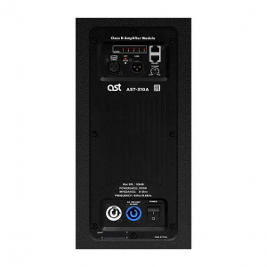 Активная акустическая система AST-310A в Новочеркасске
