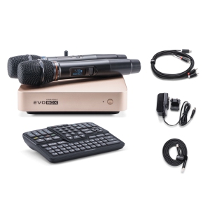 EVOBOX Classic караоке-система для дома в Новочеркасске