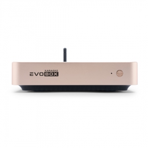 EVOBOX Plus караоке-система для дома в Новочеркасске
